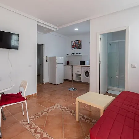 La Gitanilla Terrace Apartament *