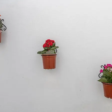 La Gitanilla Terrace